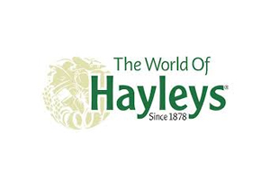 logo_heyleys